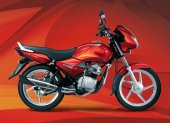 2009 TVS Star City 110 photo